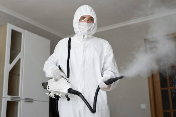 Best Residential Mold Inspection & Testing  in Bethany, OR